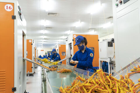 Liên tục nâng cấp hệ thống thiết bị máy móc để tăng năng suất lao động