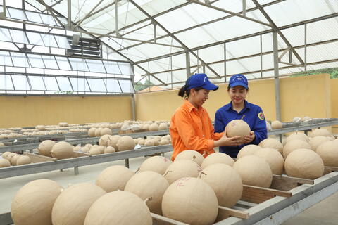 Nhà máy Z121: Tiếp tục phát huy đơn vị vững mạnh toàn diện