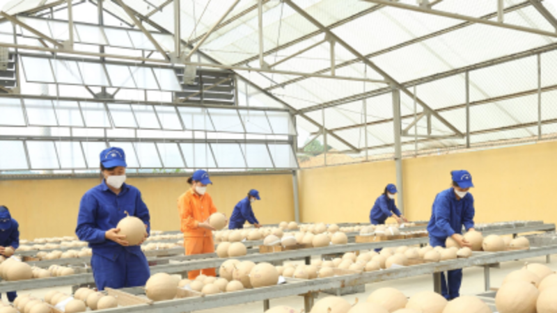 HÌnh ảnh sản xuất pháo hoa Nhà máy Z121, Tổng cục Công nghiệp Quốc phòng