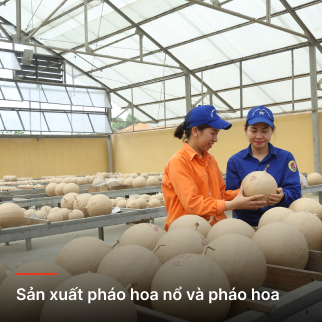 Sản xuất pháo hoa đạn súng săn, đạn thể thao, đạn tín hiệu